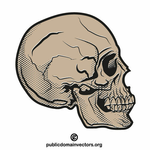두개골 프로필 벡터