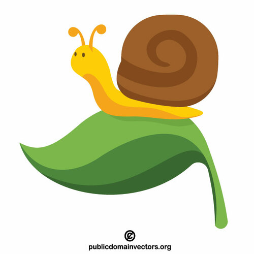 Caracol na folha