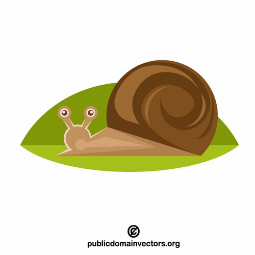 Clipart vectorial de caracol