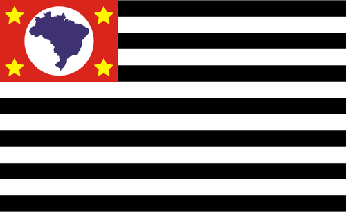 Bandeira de Sao Paulo bandiera immagine vettoriale