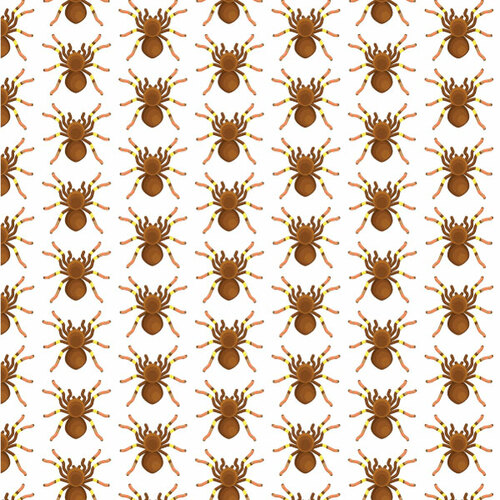 Papel de parede do Aranha padrão sem emenda