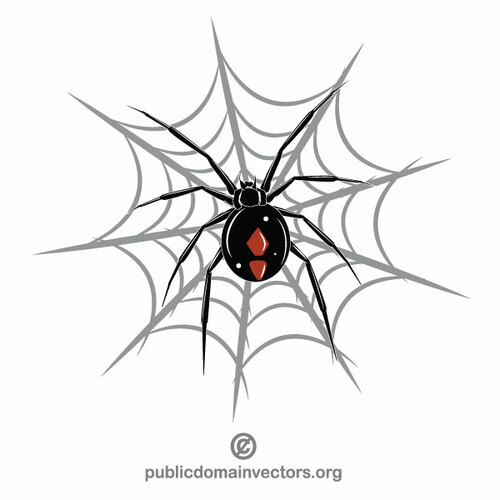 Örümcek net vektör grafikleri