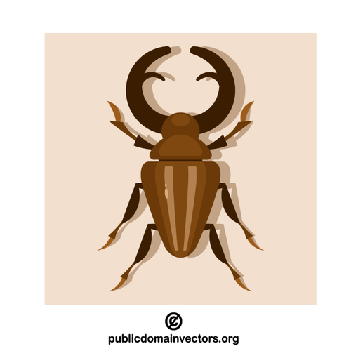 Stag beetle insect