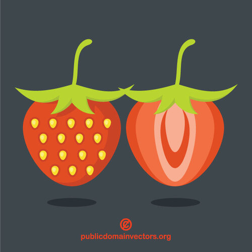 Strawberry fruit clip art