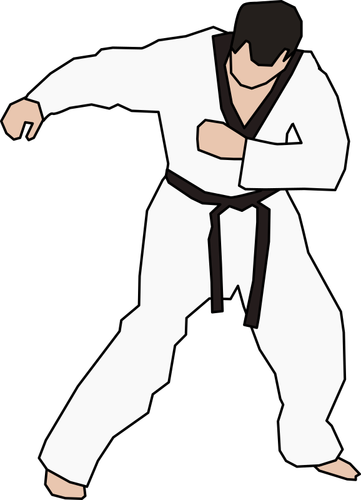 Taekwondo vechter