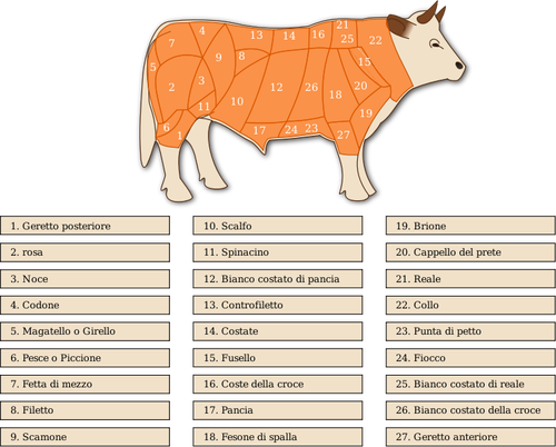 Imagem vetorial de carne cortes diagrama