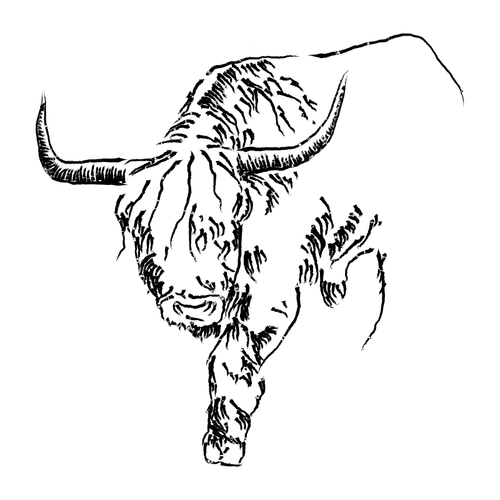 Imagen de Toro dibujo vectorial