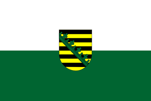 Флаг Саксонии векторное изображение