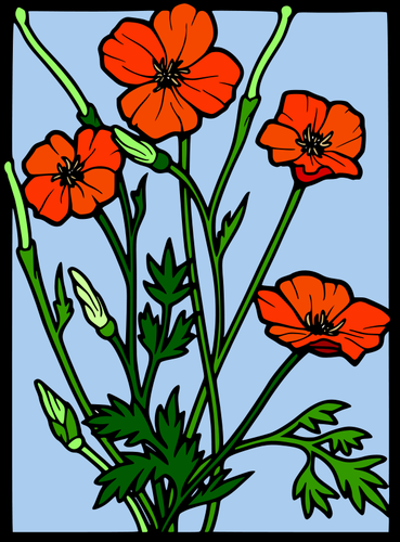 olor poppy frame vector tekening