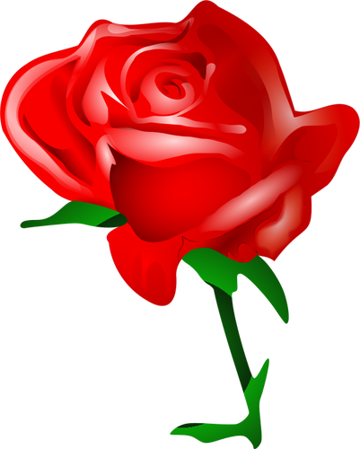 Image vectorielle rose rouge