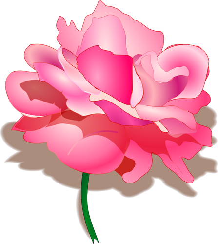 Rose vectorafbeeldingen