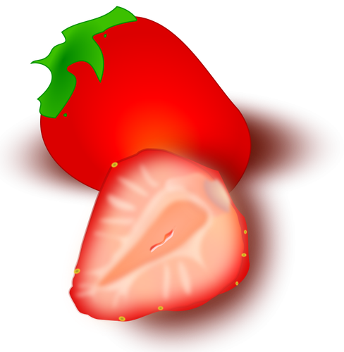 Illustration vectorielle aux fraises