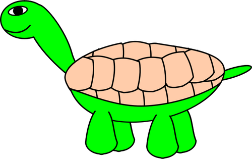 Gráficos vetoriais de tartaruga com casca bege