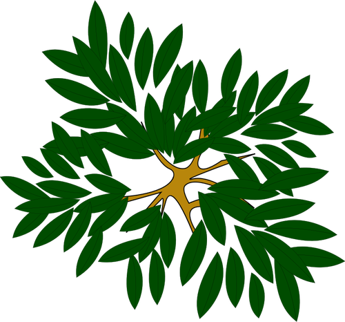 Groene plant
