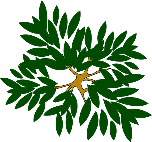 Grønn plante