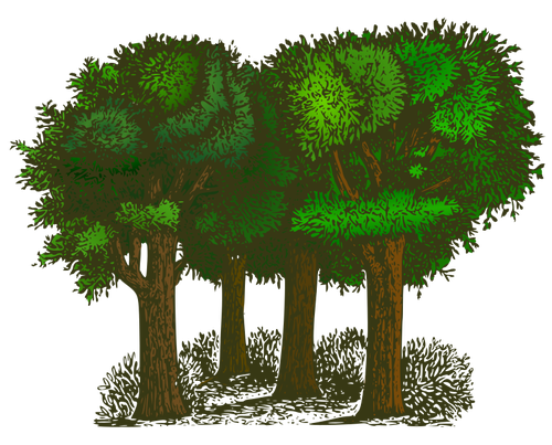 Group of trees