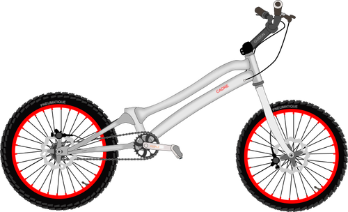 Trial Bike