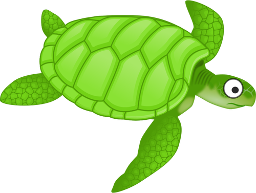 Dessin animé tortue