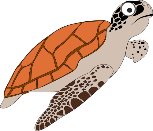 Encyclopedia turtle