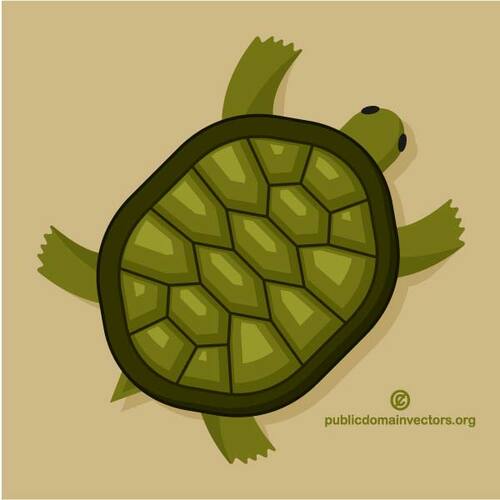 Tortue verte clipart