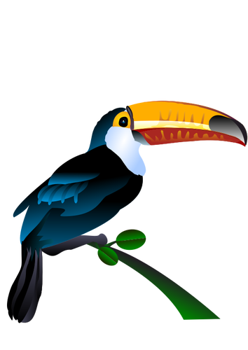 Toucan изображение