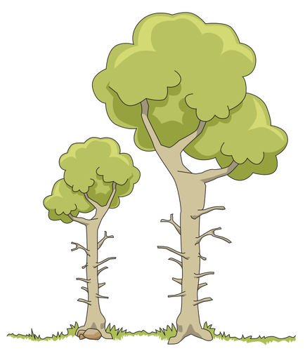 Deux arbres de la forêt