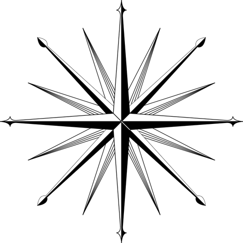 Compass rose vector image