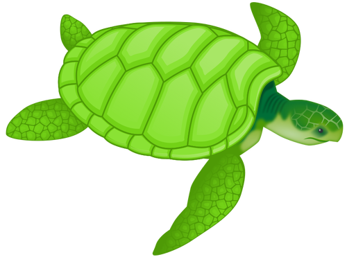 Zelená mořská želva Vektor Klipart