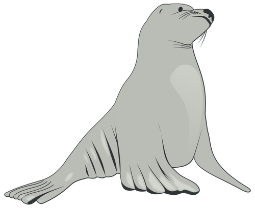 Hotel Sea lion vektorový obrázek