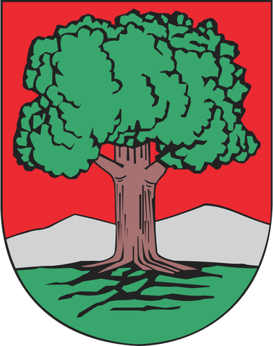 Векторный рисунок герба города Валбжих