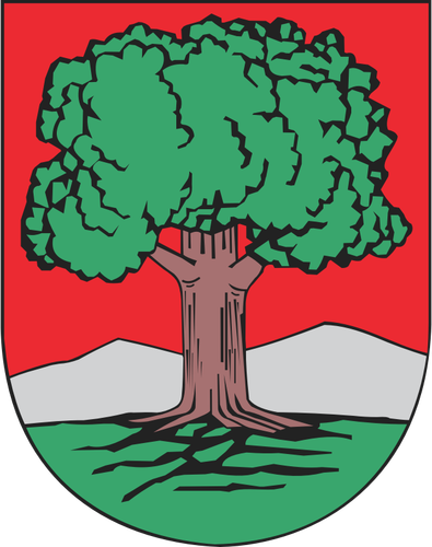 Vektör çizim arması Walbrzych City