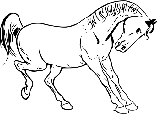 Prancing cal grafică vectorială