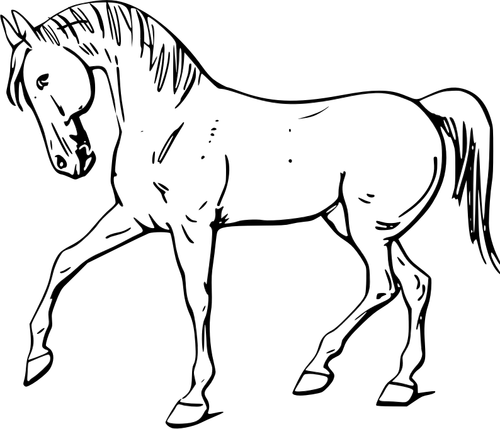 Walking horse disegno vettoriale arte linea