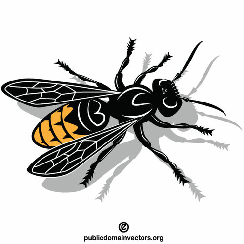 WASP serangga clip art