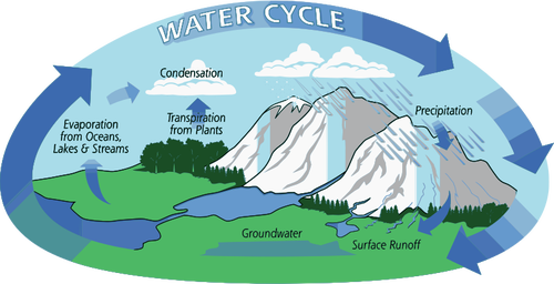 Ilustración de vector de ciclo del agua