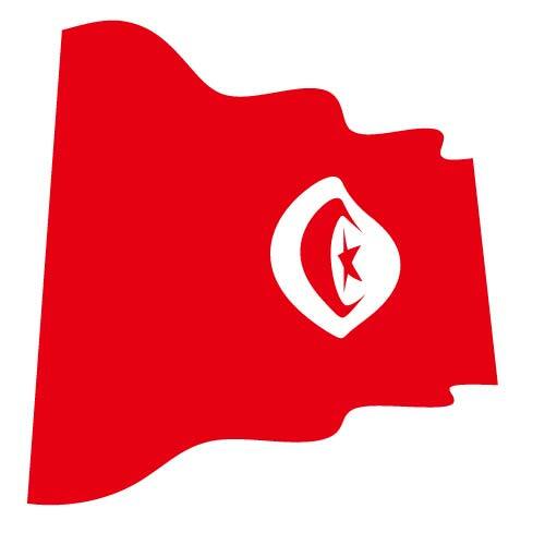 דגל וקטור טוניסאי