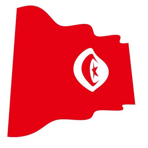 Tunisiska vektor flagga