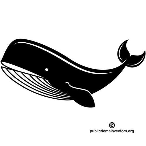 Grosse baleine