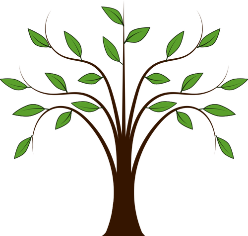 緑豊かな木のイメージ