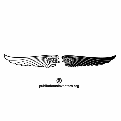 Image en noir et blanc des ailes