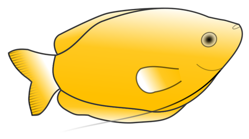 Gourami giallo