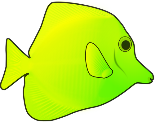 Tropikalna ryba
