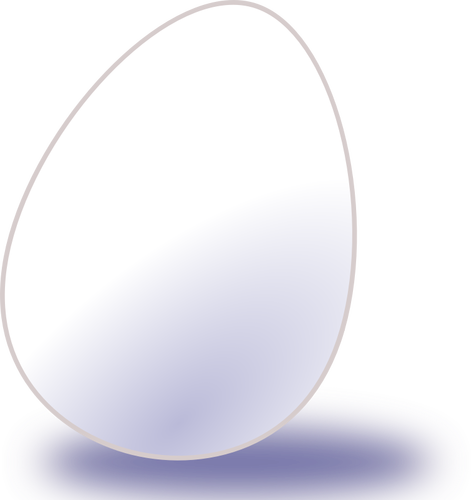 Векторное изображение белых яйца с тенью