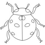 Afbeelding van lieveheersbeestje voor kleuren boek