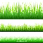 Silueta de la hierba verde