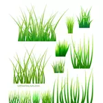 Vzorky ze zelené trávy
