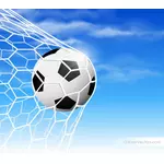 Soccer Ball in Goal In rete