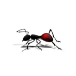 चींटी वेक्टर छवि