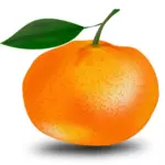 البرتقال وورقة