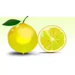 Лимон векторное изображение